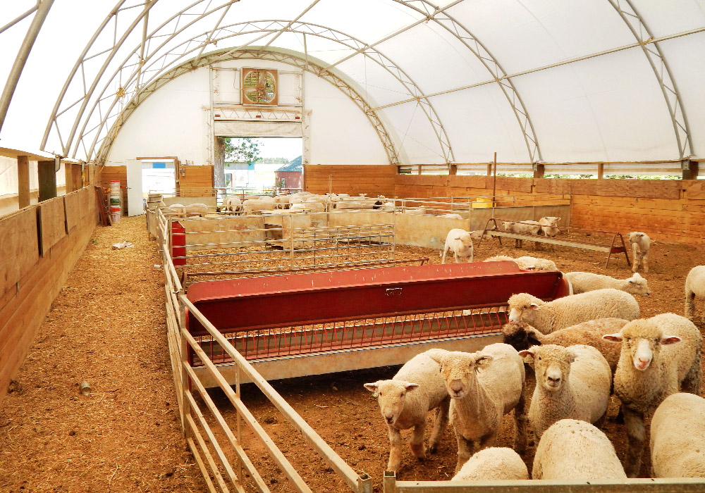 L'industrie caprine et ovine - Britespan