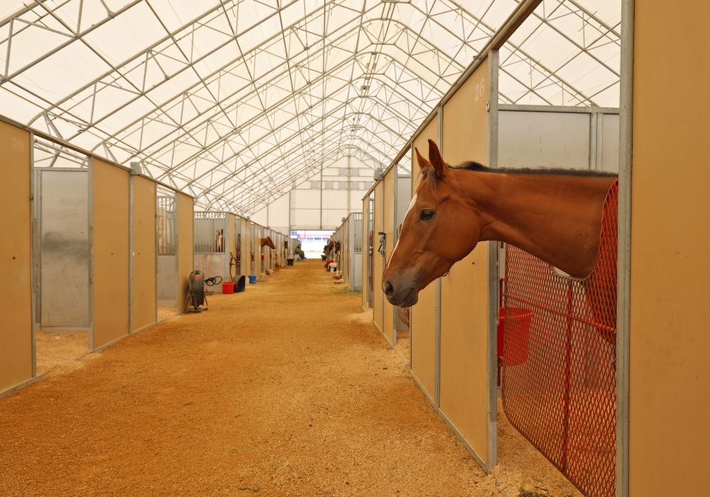 fabric covered riding arena cost