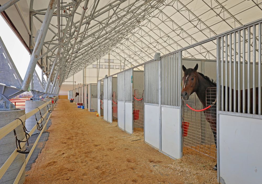 fabric covered riding arenas