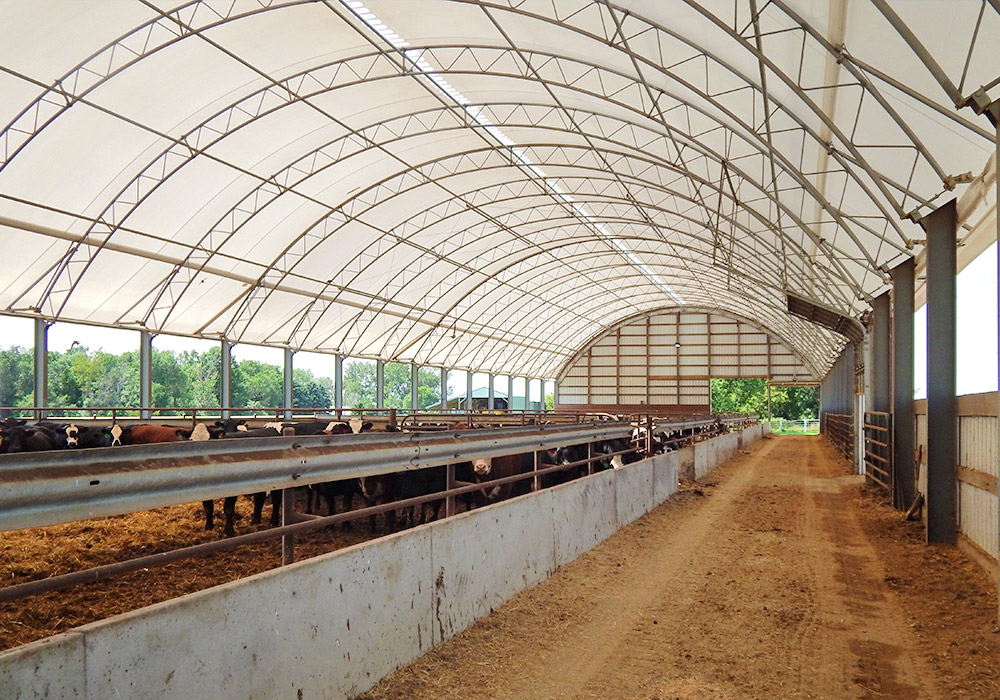 hoop barn for cattle