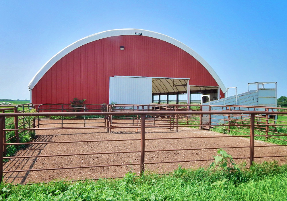 hoop barn for cattle